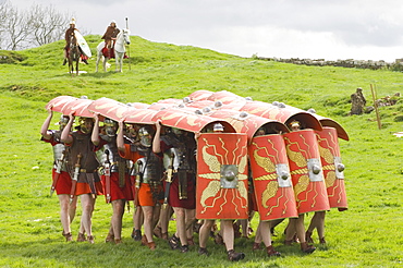 Ermine Street Guard advancing with protective shields, cavalry in attendance, Birdoswald Roman Fort, Hadrians Wall, Northumbria, England, United Kingdom, Europe