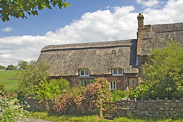 Original stone built and thatched cottage, circa 17th century, Eden Valley, Cumbria, England, United Kingdom, Europe