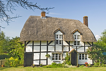 Original timber framed and thatched cottage, Hampshire, England, United Kingdom, Europe