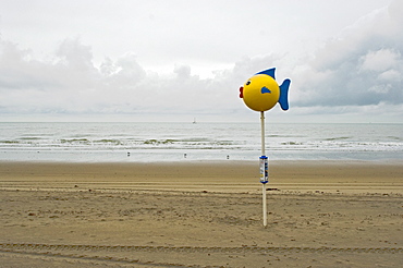 Fish out of water, a wet day on Blankenberge beach, Belgium, Europe