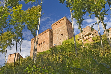 Trifels Castle, where King Richard the Lionheart was imprisoned, awaiting ransom, Anweiler, Rheinland-Pflaz, Germany, Europe