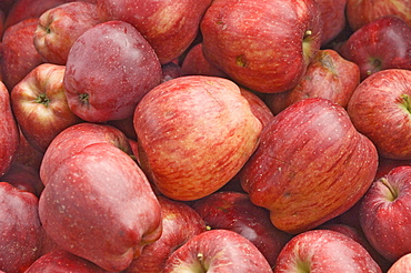 Red apples