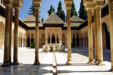 Court of the Lions, Alhambra Palace, UNESCO World Heritage Site, Granada, Andalucia (Andalusia), Spain, Europe