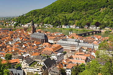 View from the castle of the old city, and the River Neckar, Heidelberg, Baden-Wurttemberg, Germany, Europe