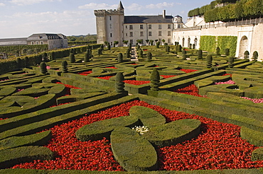 Part of the extensive flower and vegetable gardens, Chateau de Villandry, UNESCO World Heritage Site, Indre-et-Loire, Loire Valley, France, Europe