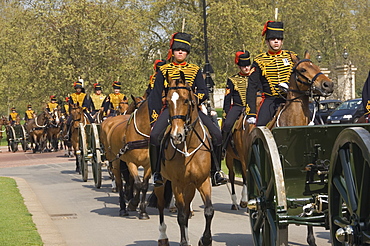 The Royal Horse Artillary in Hyde Park, London, England, United Kingdom, Europe