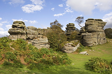 Brimham Rocks, Brimham Moor, near Ripon, North Yorkshire, England, United Kingdom, Europe