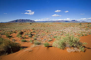 Wolvedans, Namib Rand Nature Reserve, Namibia, Africa