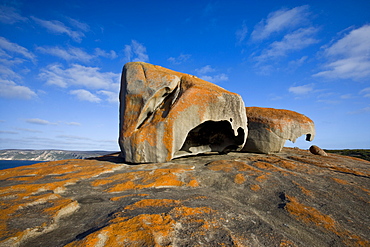 Remarkable Rocks, Flinders Chase National Park, Kangaroo Island, South Australia, Australia, Pacific