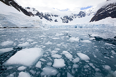 Glacier, Paradise Bay, Antarctic Peninsula, Antarctica, Polar Regions