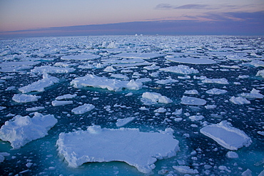 Pack ice at midnight, Southern Ocean, Antarctic, Polar Regions