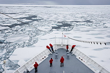 Ship breaking through ice floe and drift ice, Greenland, Arctic, Polar Regions