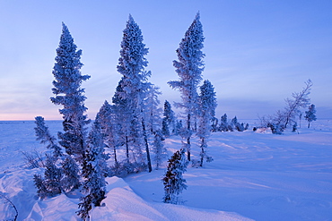 Winter Scenery, Churchill, Manitoba, Canada