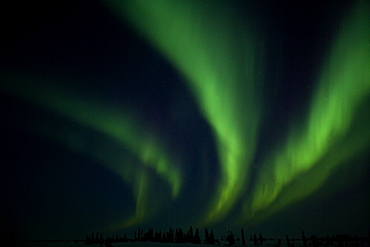 Northern Light, Aurora Borealis, Churchill, Manitoba, Canada