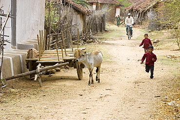 Village, Tala, Bandhavgarh National Park, Madhya Pradesh, India, Asia