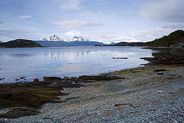 Coastline, Ushuaia, Tierra del Fuego National Park, Argentina, South America