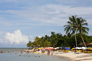 Coroa Vermelha beach, 13 km north of Porto Seguro, Bahia, Brazil, South America 