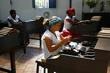 Women making cigars at the Dannemann factory in Sao Felix, Bahia, Brazil, South America 