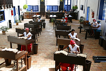 Women making cigars at the Dannemann factory in Sao Felix, Bahia, Brazil, South America 