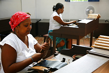 Women making cigars at the Dannemann factory in Sao Felix, Bahia, Brazil, South America 