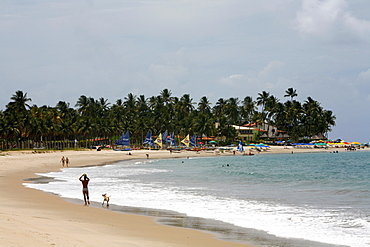 Porto de Galinhas beach, Pernambuco, Brazil, South America