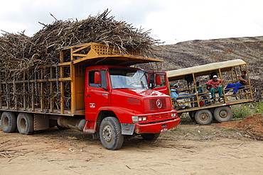 Truck loaded with sugar cane at a field near Porto de Galinhas, Pernambuco, Brazil, South America