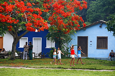 Colorful houses at Quadrado, the main square in Trancoso, Bahia, Brazil, South America