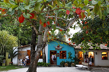 Colorful houses at Quadrado, the main square in Trancoso, Bahia, Brazil, South America