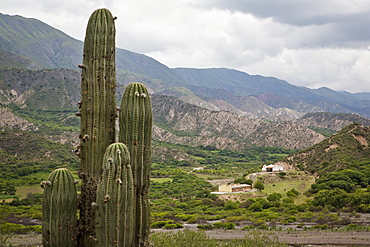 Landscape from the Valles Calchaquies on the road between Cachi and Salta, Salta Province, Argentina, South America 