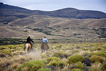 Gauchos riding horses, Patagonia, Argentina, South America 