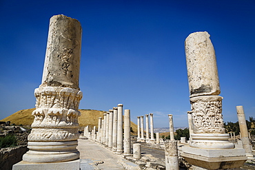 Ruins of the Roman-Byzantine city of Scythopolis, Tel Beit Shean National Park, Beit Shean, Israel, Middle East 