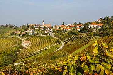 View over Treiso village and vineyards, Langhe, Cuneo district, Piedmont, Italy, Europe