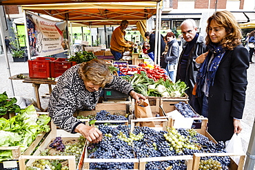 Fruit and vegetable stall at a market in Alba, Langhe, Cueno, Piedmont, Italy, Europe