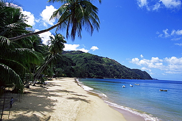 Castara Bay, Tobago, West Indies, Caribbean, Central America