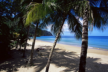 Castara Bay, Tobago, West Indies, Caribbean, Central America