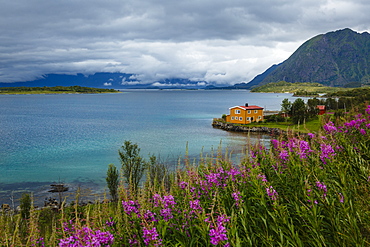 Lofoten Islands, Arctic, Norway, Scandinavia, Europe