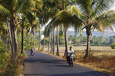 Typical road scene, Goa, India, Asia