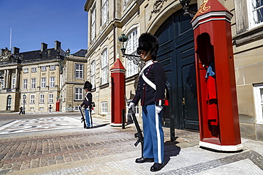 Guards at Amalienborg Royal Palace, Copenhagen, Denmark, Scandinavia, Europe