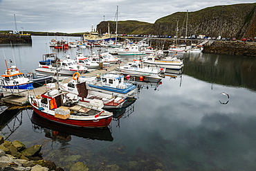 View over the fishing port, Snaefellsnes peninsula, Iceland, Polar Regions