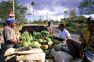 Vendors by the roadside selling bananas and coconuts off their pick-up, St. Lucia, Windward Islands, West Indies, Caribbean, Central America