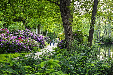 Tiergarten park, Berlin, Germany, Europe