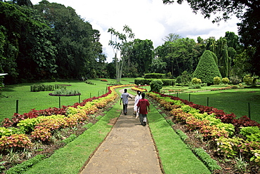 Peradeniya Botanical Gardens, Kandy, Sri Lanka, Asia