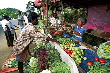 Vegetable stall along the road in the mountain area, Sri Lanka, Asia