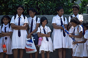 Schoolgirls in school uniform, Colombo, Sri Lanka, Asia