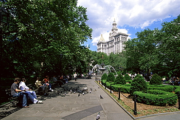 New York City Hall Park, Manhattan, New York, New York State, United States of America, North America