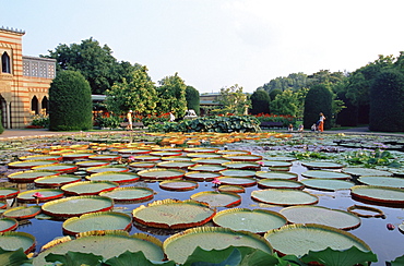 Wilhelma Zoo and Botanical Gardens, Stuttgart, Baden Wurttemberg, Germany, Europe