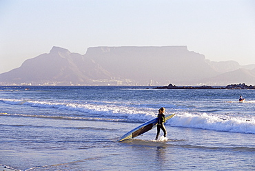 Young woman surfer enters the water of the Atlantic Ocean with Table Mountain in the background, Cape Town, South Africa, Africa