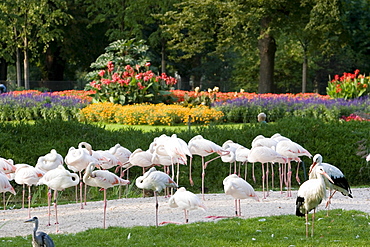 Wilhelma Zoo and Botanical Gardens, Stuttgart, Baden Wurttemberg, Germany, Europe