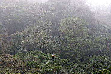 Canopy cable ride at Monteverde cloud forest, Costa Rica, Central America