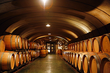 Wine cellar at the Vistalba Winery, Lujan de Coyu, Mendoza, Argentina, South America